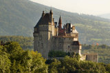 chateau de menthon saint bernard